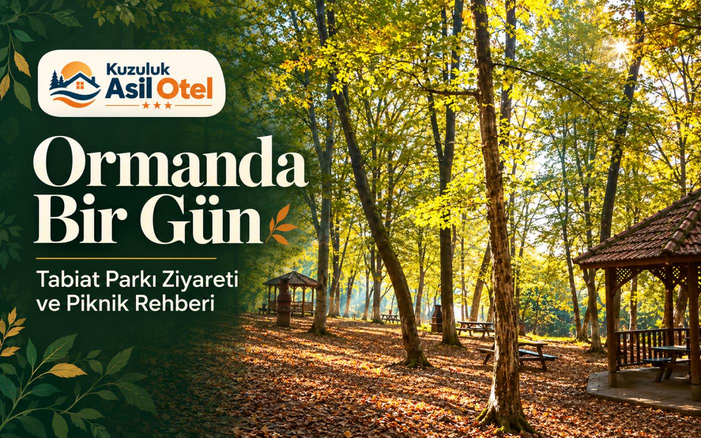 Ormanda Bir Gün: Tabiat Parkı Ziyareti ve Piknik Rehberi